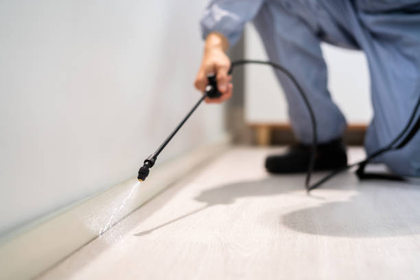 Licensed Termite Control service in Ebensburg, PA - Nex Pest Control
