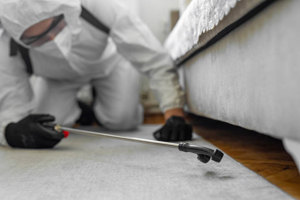 Professional Termite Control technician working in Ebensburg, PA