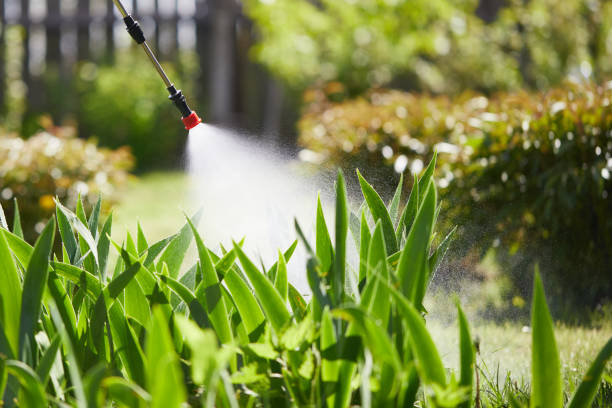 24/7 Emergency Termite Control experts in Ebensburg, PA