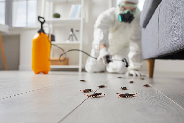 Trusted Mosquito Control service in Ebensburg, PA - Nex Pest Control